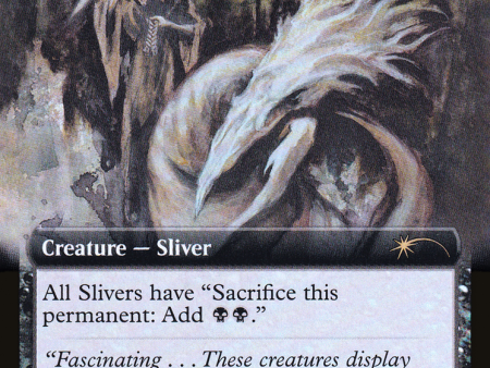 Basal Sliver (Extended Art) [Secret Lair Drop Promos] Fashion