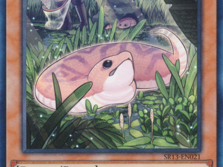 Danger!? Tsuchinoko? [SR13-EN021] Common Cheap