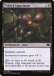 Twisted Experiment [Dominaria Remastered] For Cheap